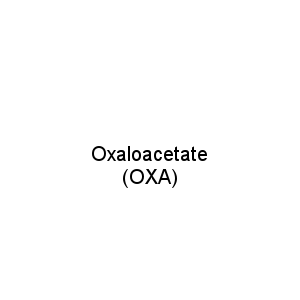Oxaloacetate (OXA)